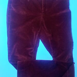 BANANNA REPUBLIC BURGANDY VELOUR PANT
